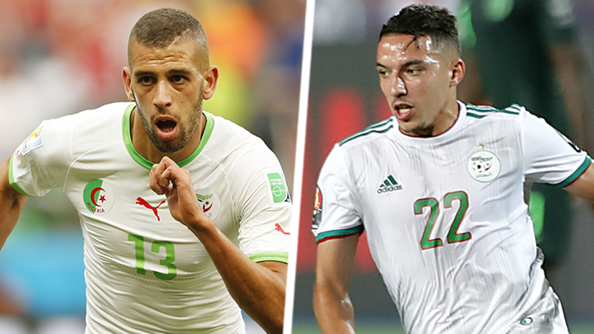 les fennecs 2019 maillot