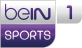 beIN Sports 1HD