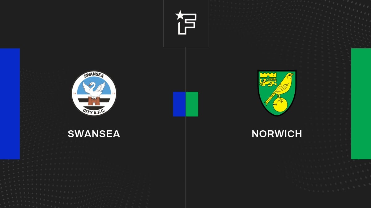 Vidéo, tous les buts du match entre Swansea et Norwich