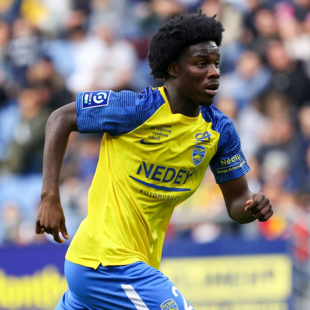 Sochaux : Eliezer Mayenda est dans le viseur de Sunderland