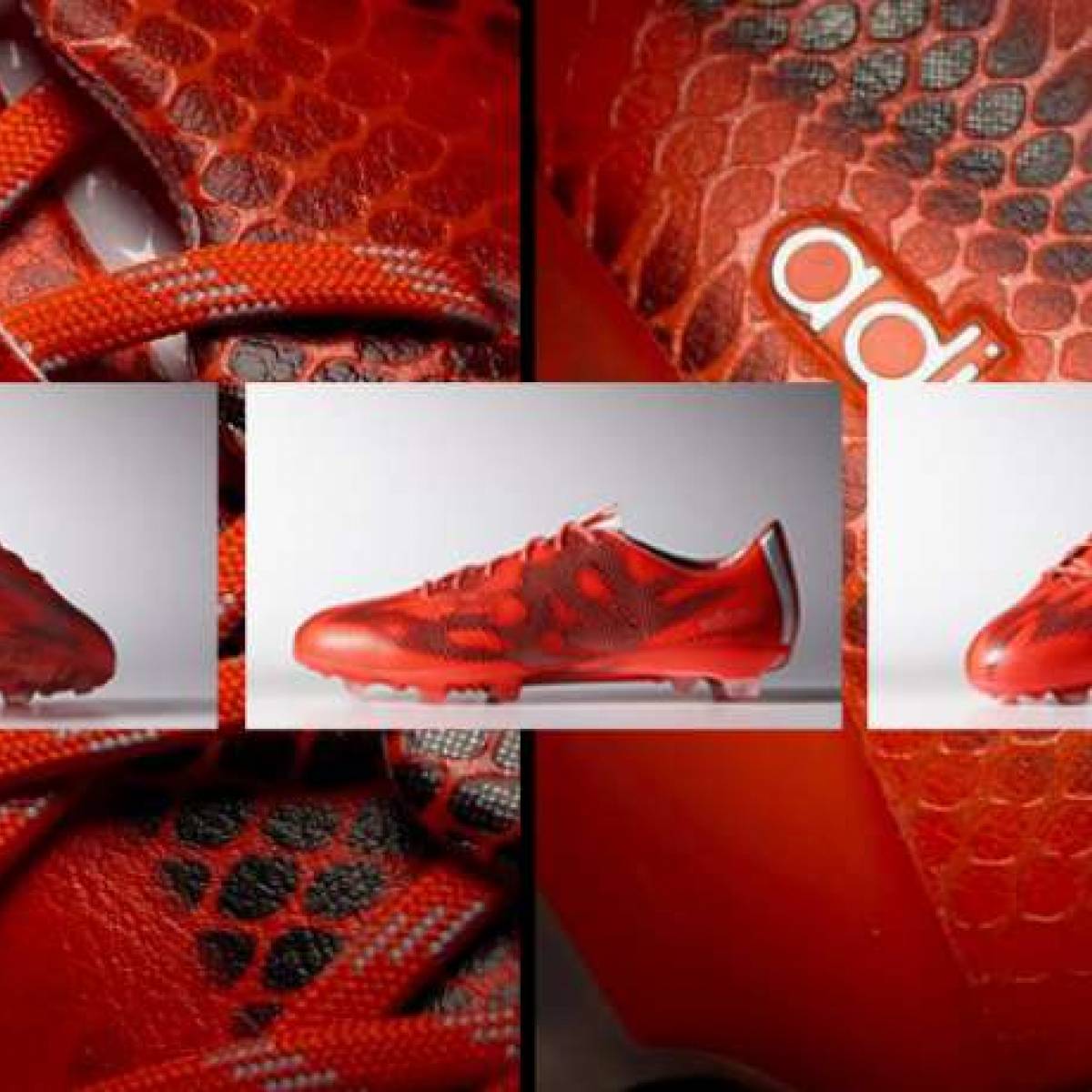 nouvelles f50