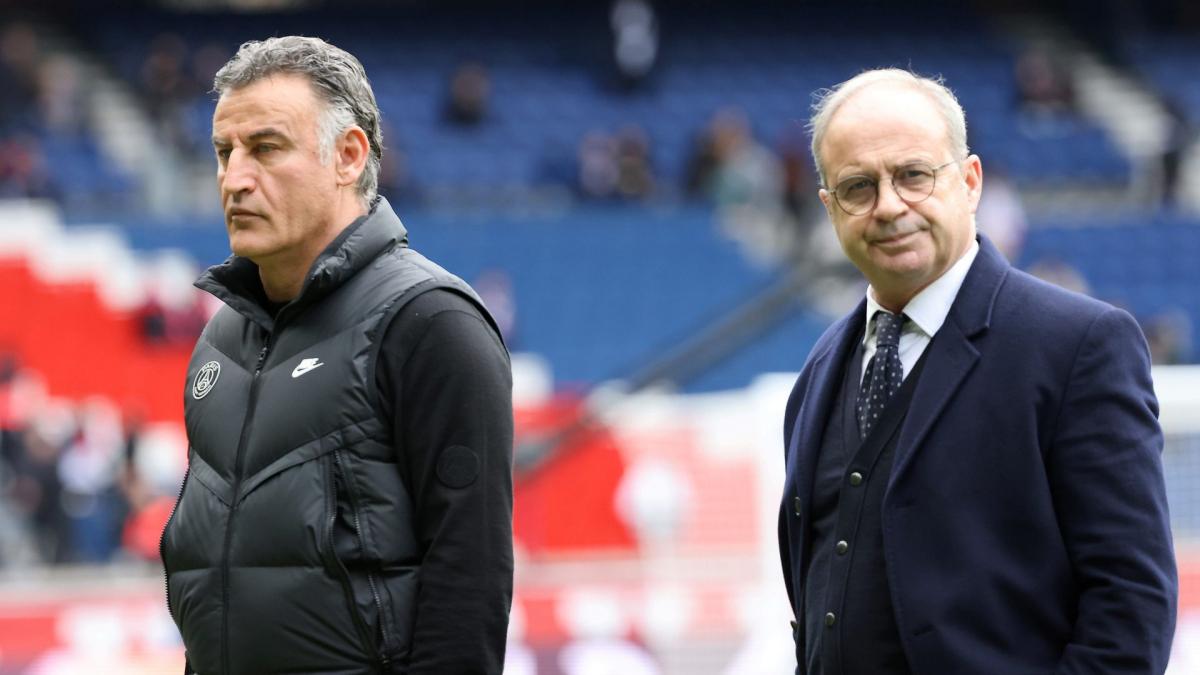 Paris Saint-Germain is carving an intriguing path for its seat