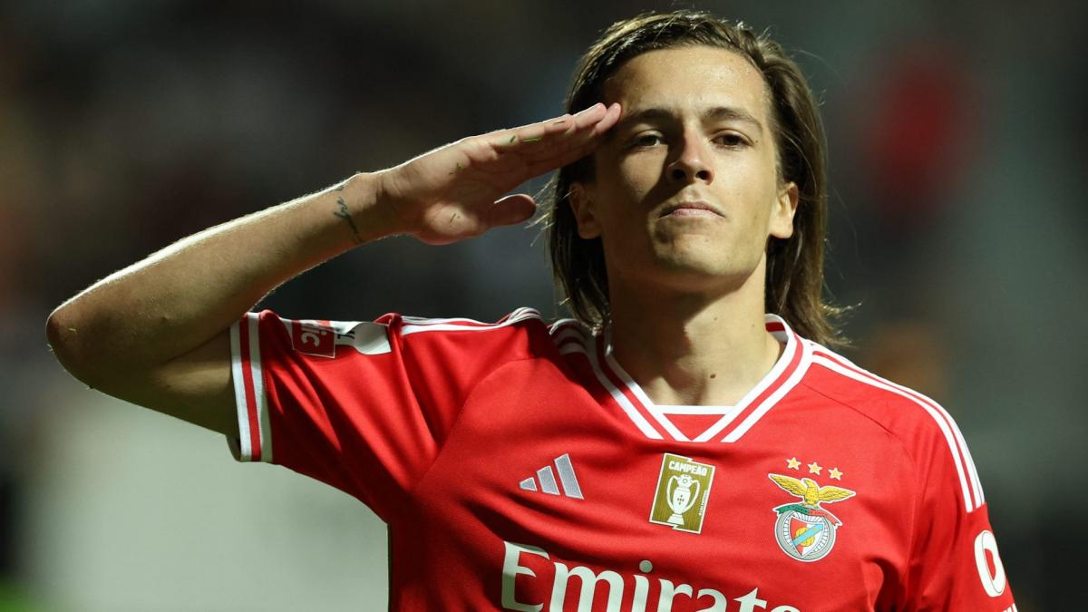 Alvaro Carreras : Un Transfert en Suspens entre Benfica et le Real Madrid