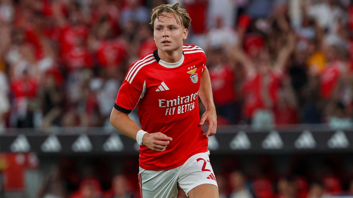 Benfica : la sanction infligée à Andreas Schjelderup est tombée