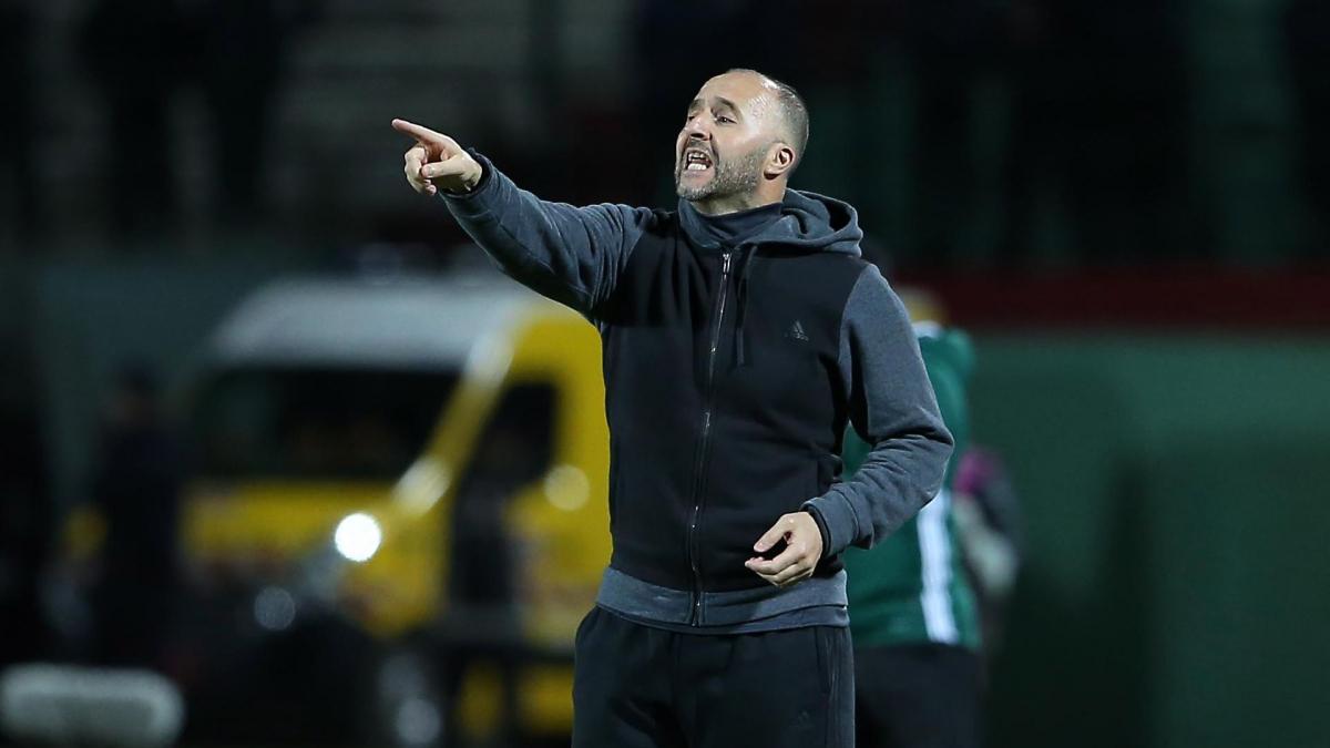 Djamel Belmadi doet weer zaken met Andy Delors