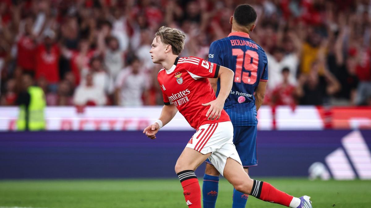 Ligue des Champions : nouvelle soirée cauchemar pour l’OGC Nice à Benfica