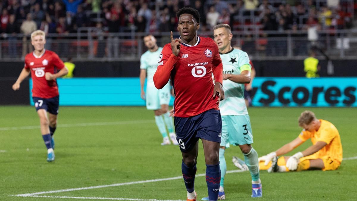 Ligue 1 : avant le Real Madrid, Lille explose Le Havre grâce à un triplé de David