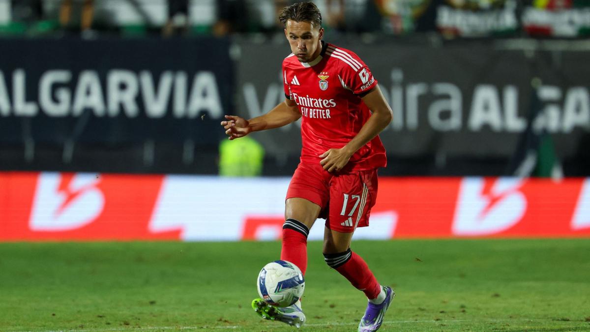 Benfica : l’irrésistible montée en puissance d’Amar Dedic