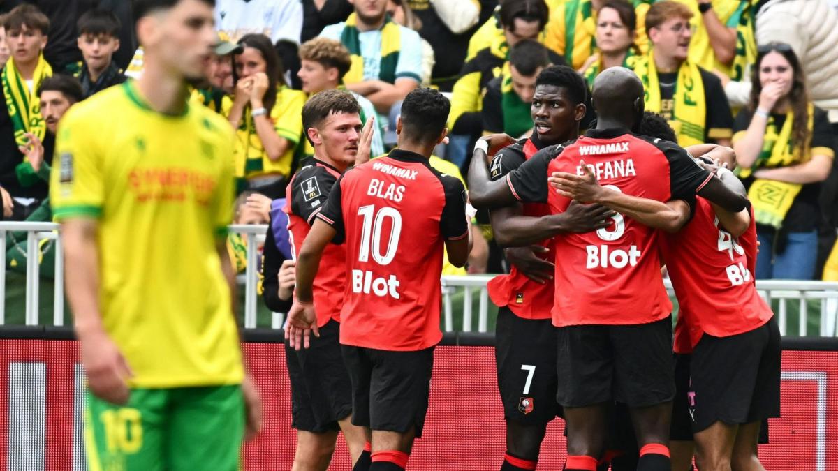 Un nouveau président au conseil d’administration du Stade Rennais
