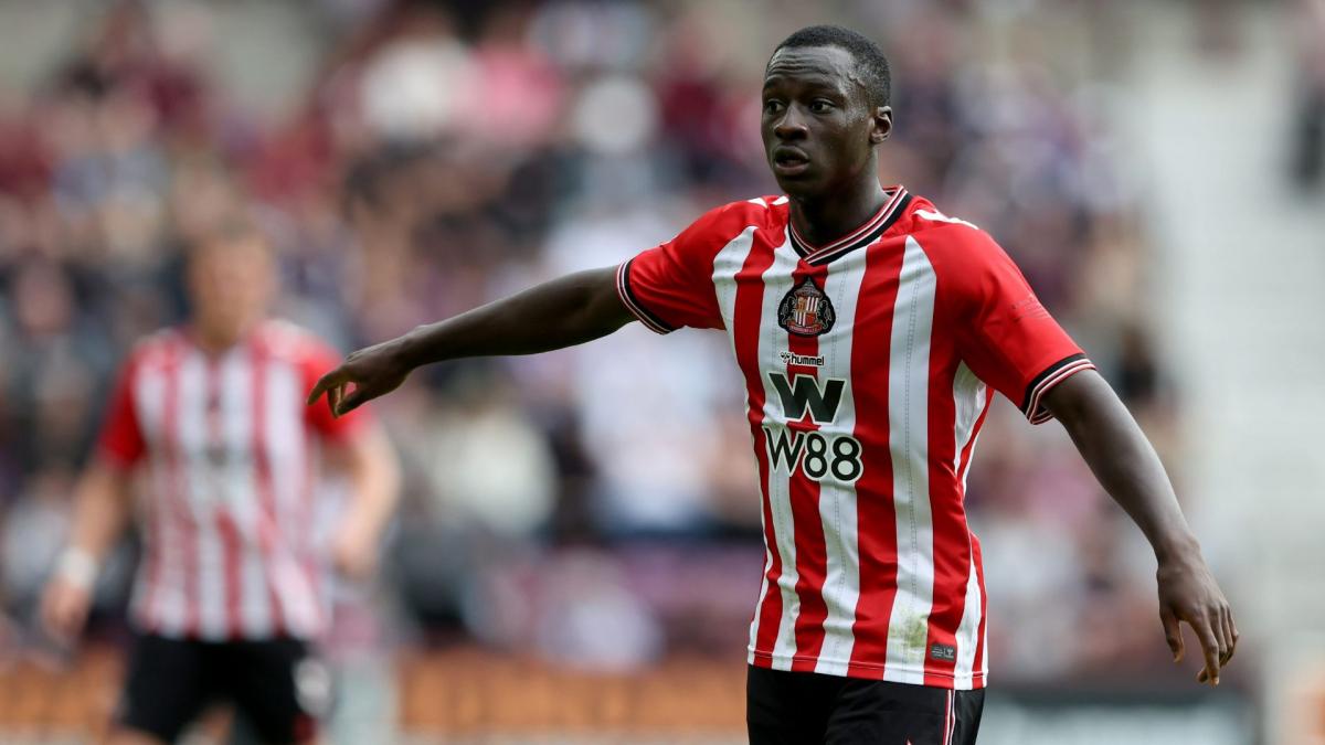 Sunderland : gros coup dur pour Habib Diarra
