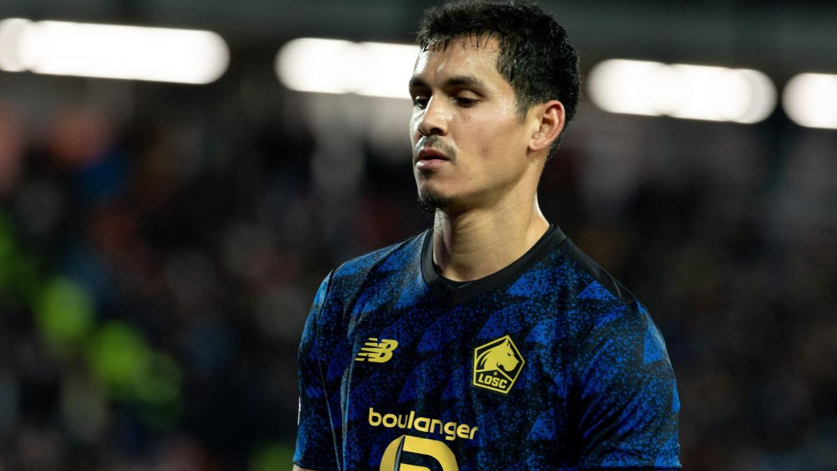 LOSC, Algérie : frayeur pour Aïssa Mandi avant la CAN