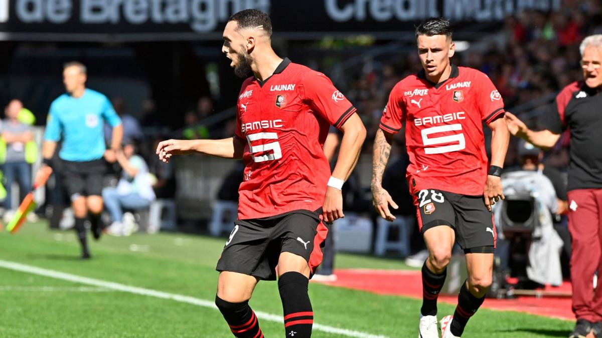 Ligue 1 : Rennes Accroché Par Le Havre Dans Un Match Animé