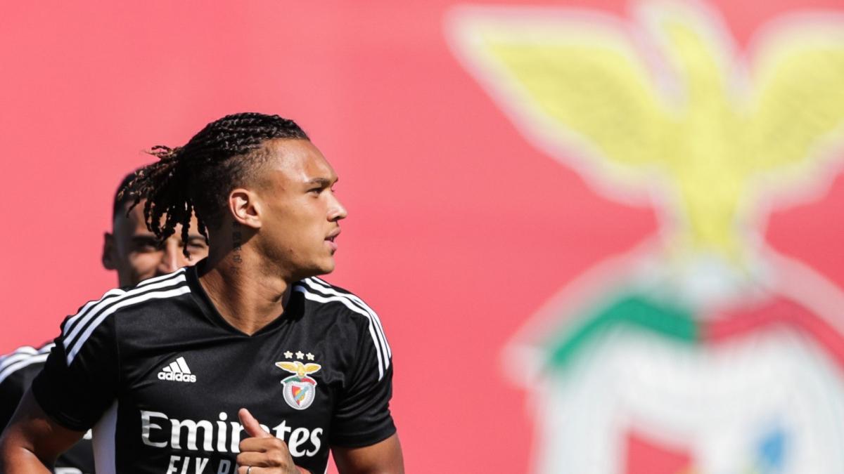 PSG : Luis Campos a flashé sur Diego Moreira, un talent en conflit avec Benfica