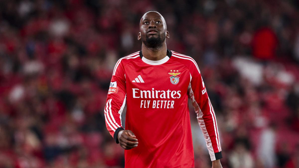 https://www.footmercato.net/a1108431641637305057-france-belgique-le-but-de-lukebakio-en-video