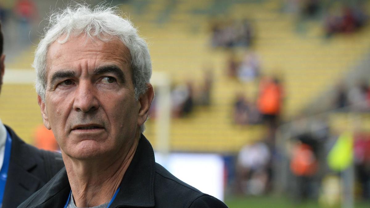 Raymond Domenech