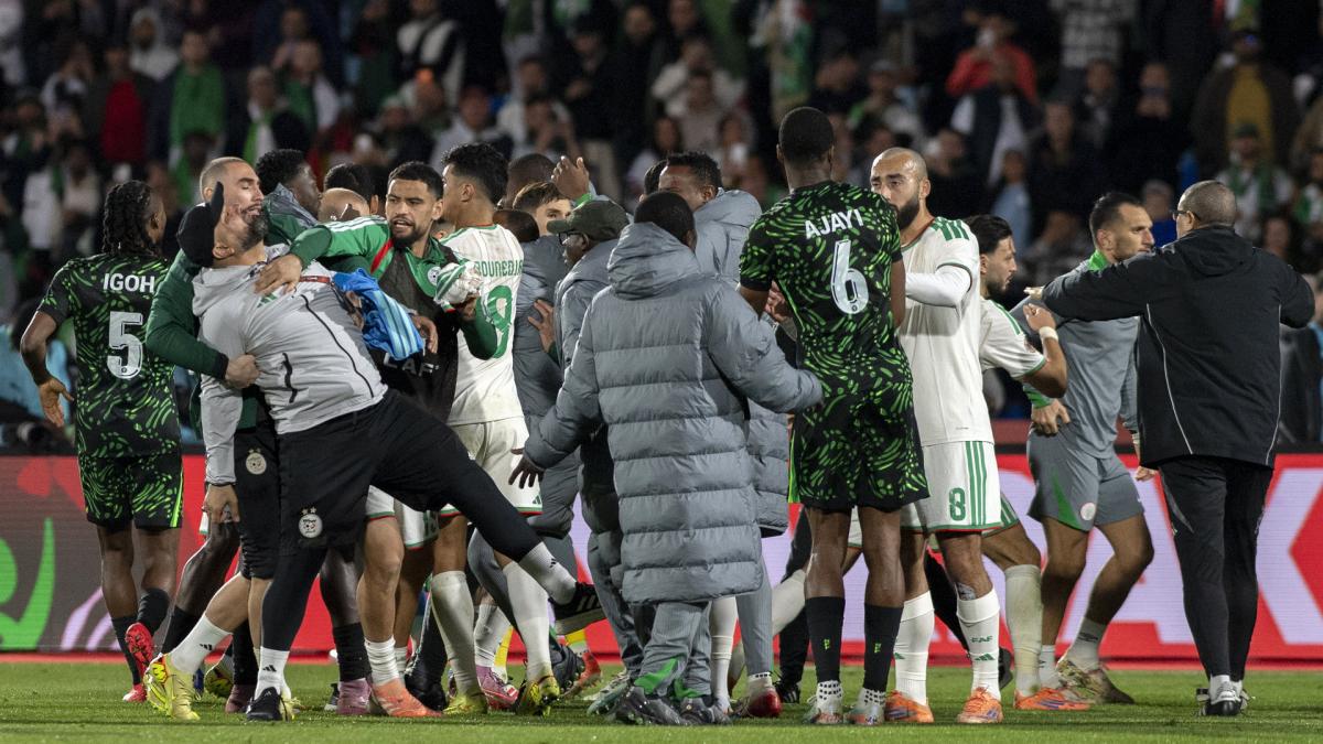 CAN 2025 : bagarre générale, arbitre sous escorte policière, échauffourées, scènes de chaos après Algérie-Nigéria