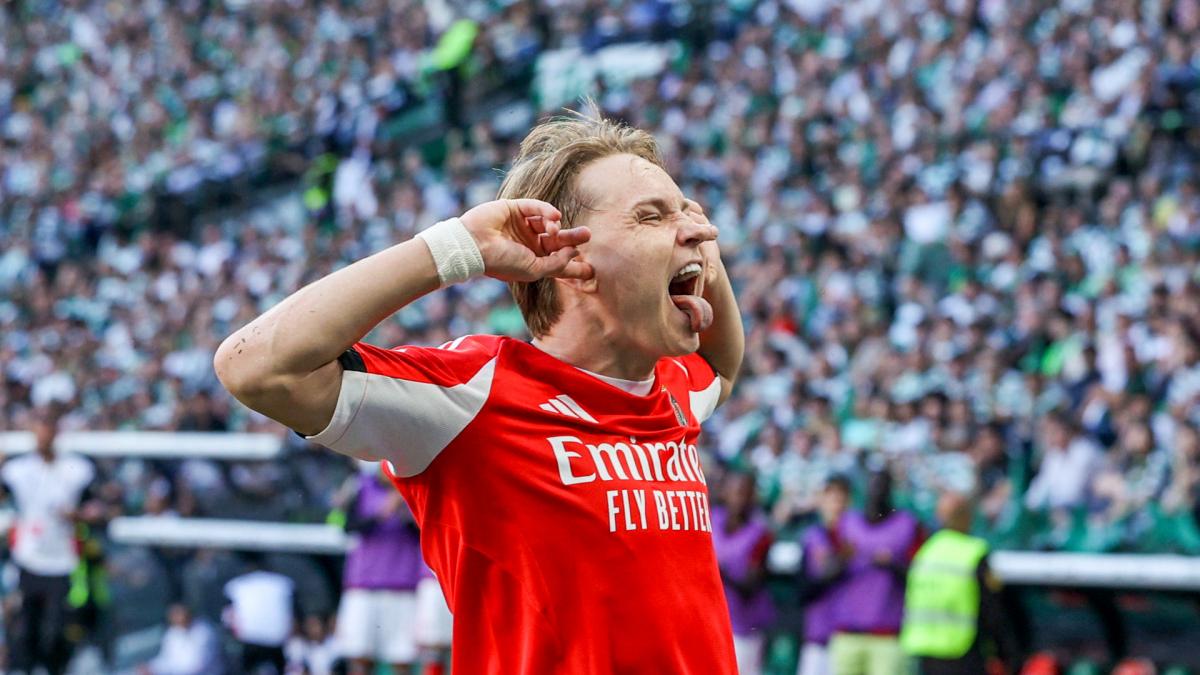 Benfica : Andreas Schjelderup, la pépite norvégienne qui va 