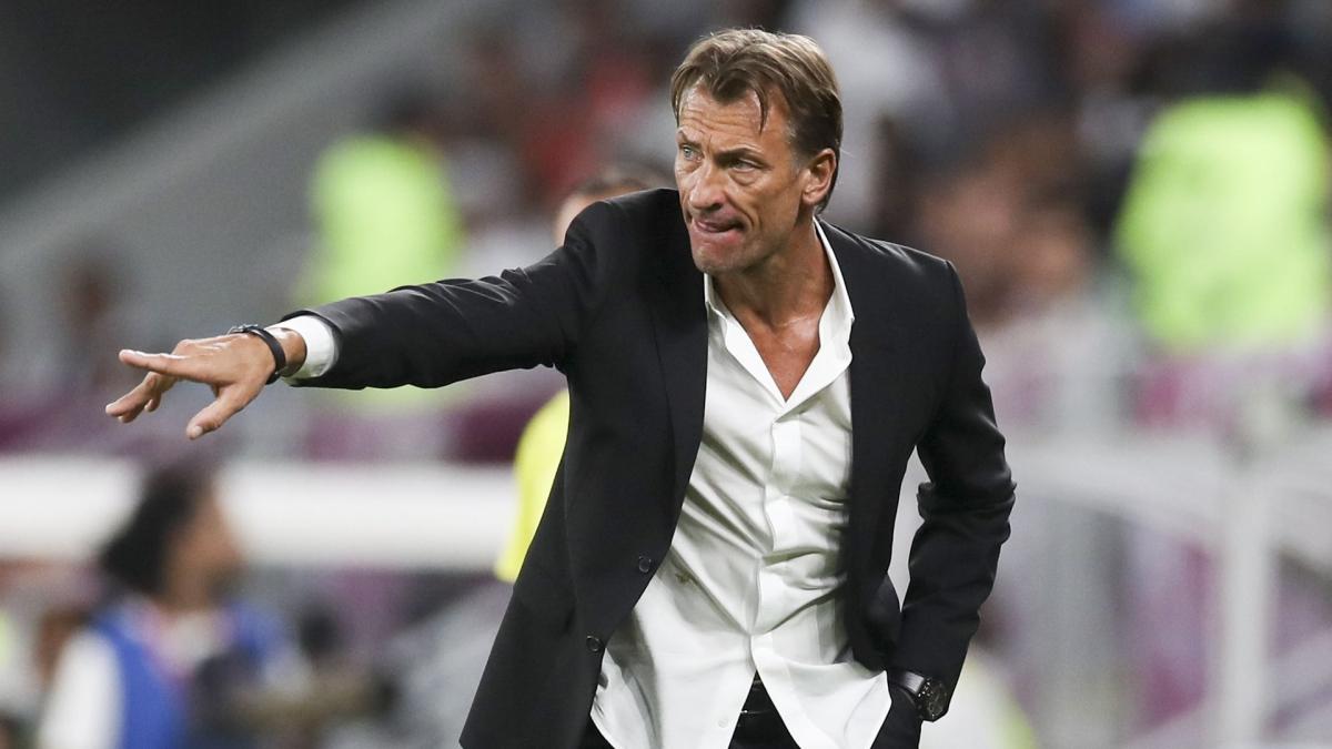 https://assets-fr.imgfoot.com/media/cache/1200x675/herve-renard.jpg