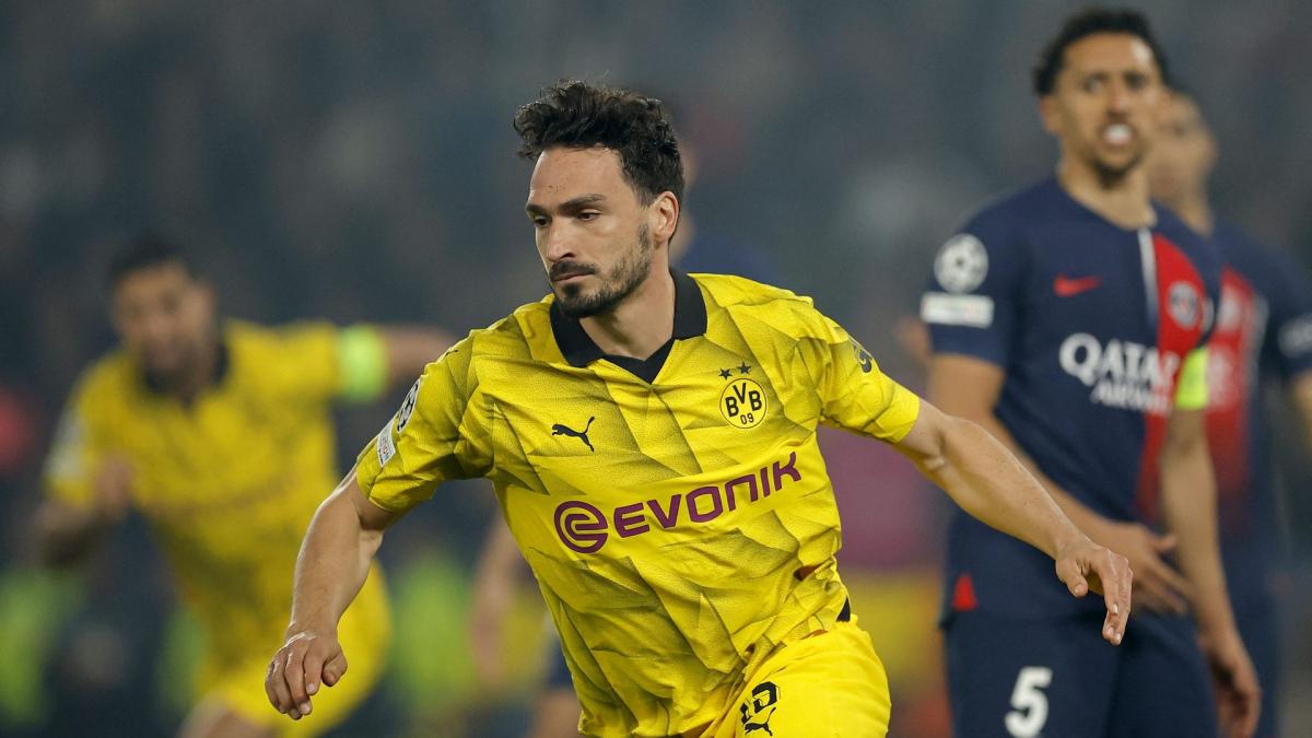 Dortmund: the fun exchange between Mats Hummels and Edin Terzic