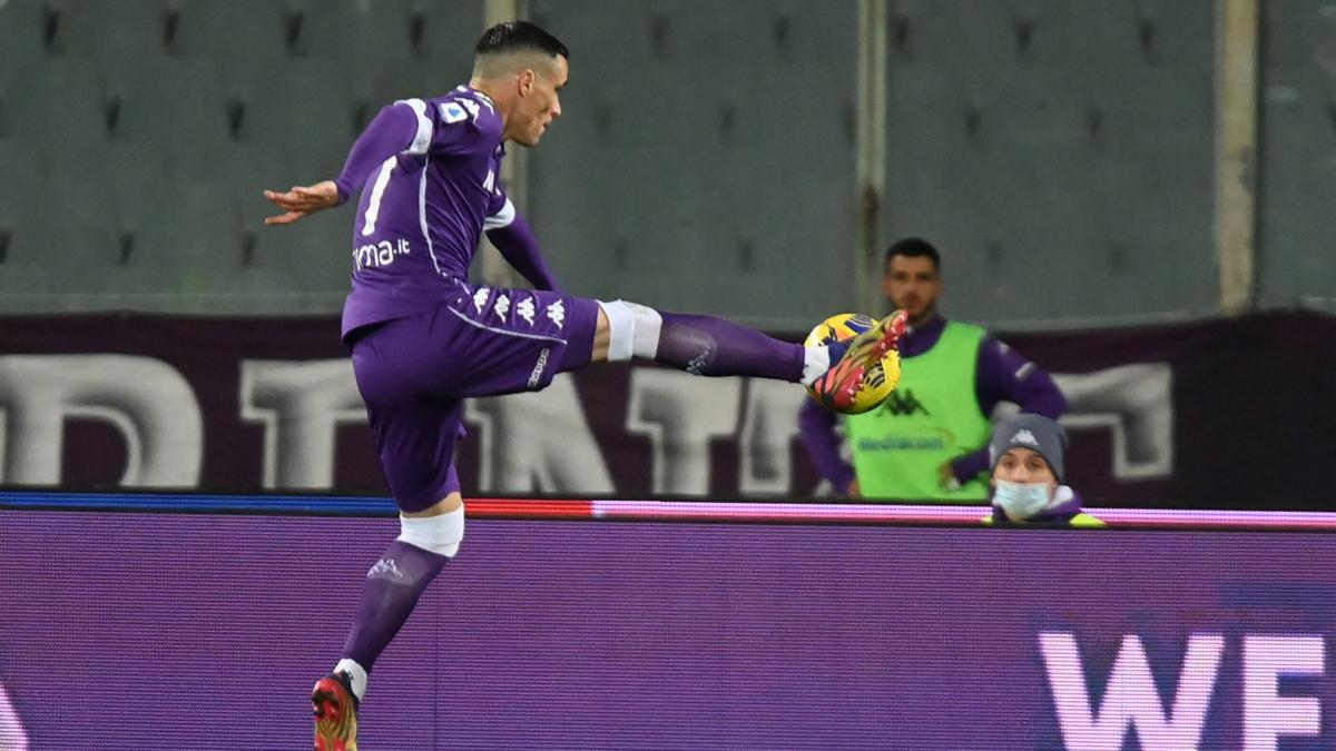 José Callejón rebondit à Marbella