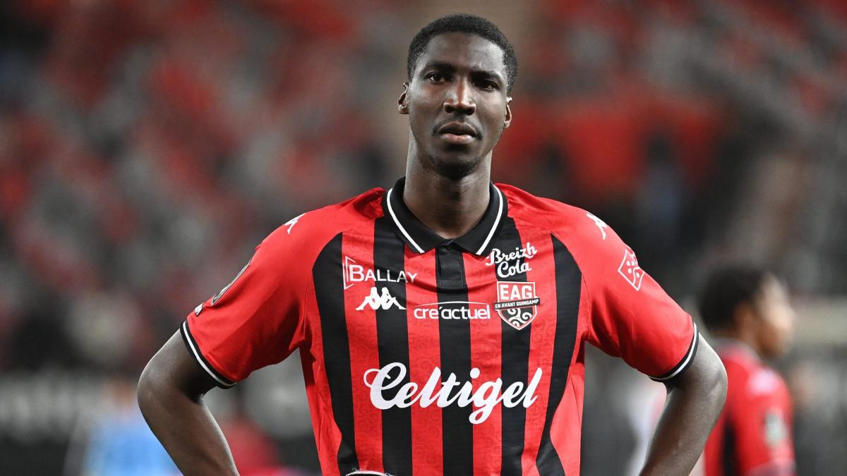 Ryan Reynolds veut recruter à Guingamp