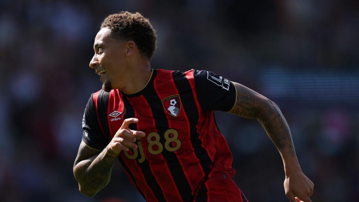 PL : Newcastle accroche Bournemouth, Aston Villa frustré par Sunderland