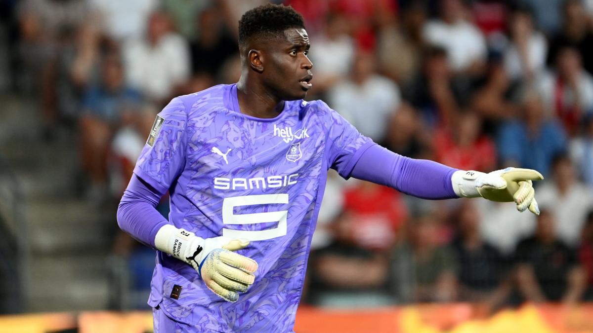 Rennes : le soutien de Brice Samba à Habib Beye