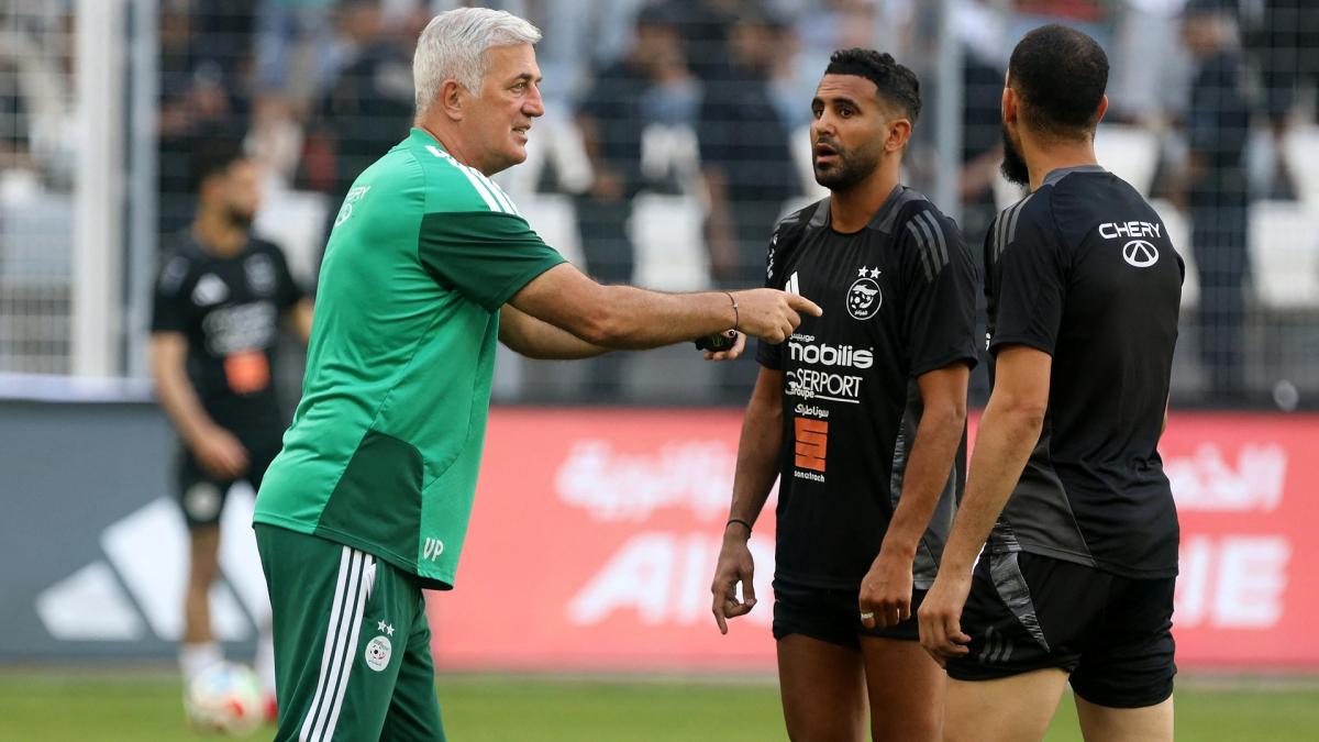 CdM 2026 : l’Algérie éliminée ce soir si...
