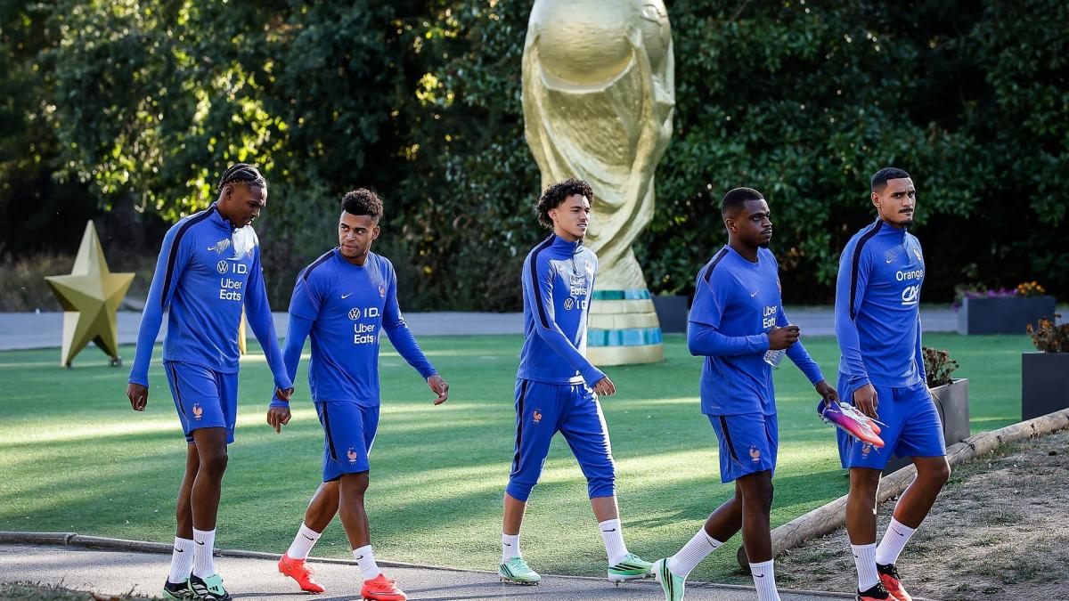 https://www.footmercato.net/a2937101804379547023-equipe-de-france-un-joueur-est-en-train-de-bluffer-zinedine-zidane-et-son-staff