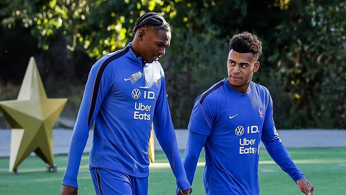 https://www.footmercato.net/a299133258887280304-comment-rennes-est-devenu-le-premier-fournisseur-de-talents-de-lequipe-de-france