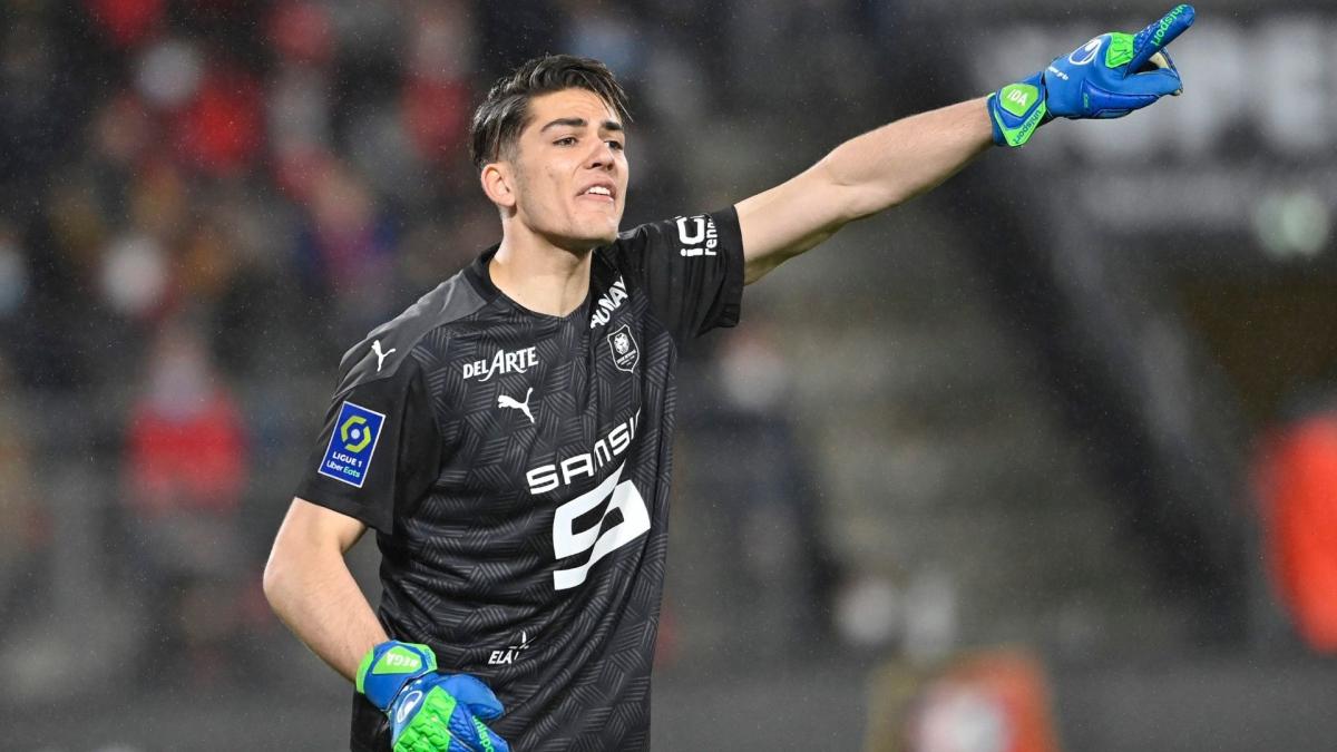 Rennes cède Doğan Alemdar et Bertuğ Yildirim à Basaksehir