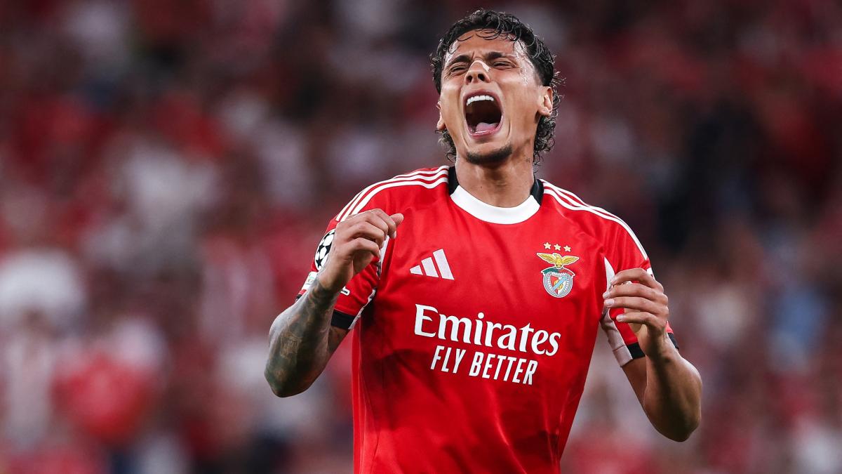 Une bagarre éclate entre supporters du Benfica lors du Clássico