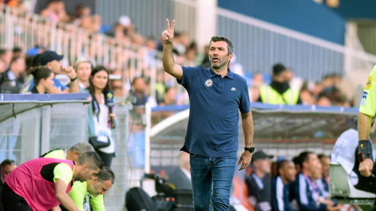 Montpellier announces the departure of Romain Pitau