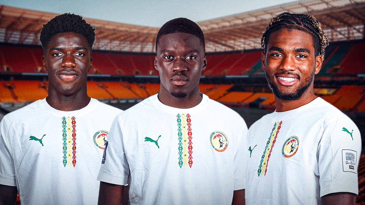 Comment le Sénégal arrive à séduire les binationaux