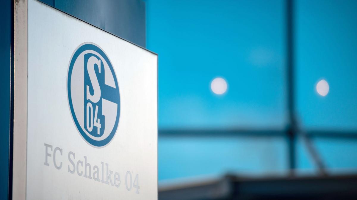 BL : un supporter est décédé lors de Schalke 04 - Bayer Leverkusen