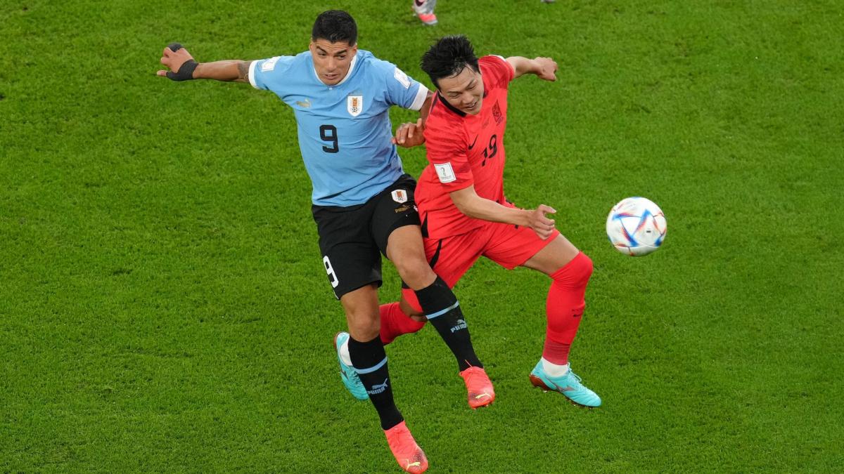 Coupe du Monde 2022 : l'Uruguay et la Corée du Sud se neutralisent au terme d'un triste spectacle - Foot Mercato