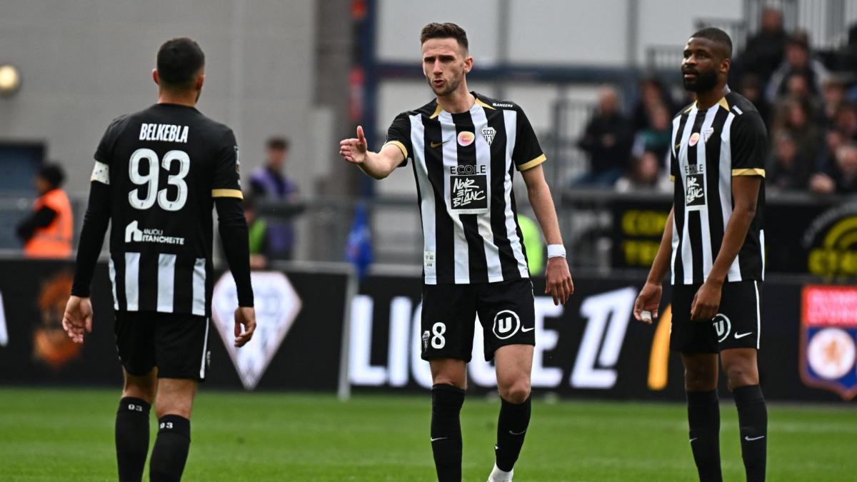 Branco van den Boomen proche d’un retour à Angers