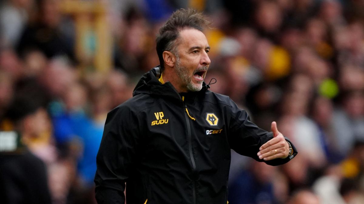 Wolverhampton se sépare de Vitor Pereira