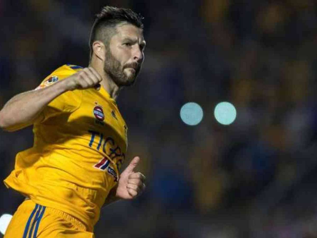 Tigres Andre Pierre Gignac Toujours Sur Son Nuage