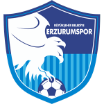 Büyükşehir Belediye Erzurum Spor Kulübü