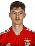 António João Pereira Albuquerque Tavares Silva