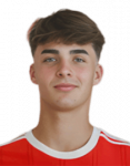 Gustavo Gabriel Santos Ferreira