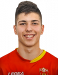 Milan Vukotić