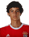 Rodrigo Lopes Figueiredo Pires