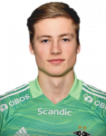 Sander Tangvik