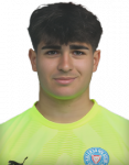 Tyler Doğan