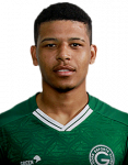 Vinícius Lopes da Silva