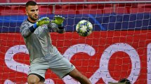 OL : Christophe Revel va devenir le nouvel entraîneur des gardiens