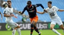 Ligue 1 : un grand Stephy Mavididi donne la victoire à Montpellier contre Rennes