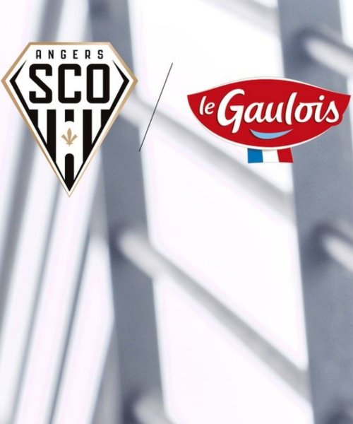 Le Sco d'Angers et Le Gaulois prolongent !